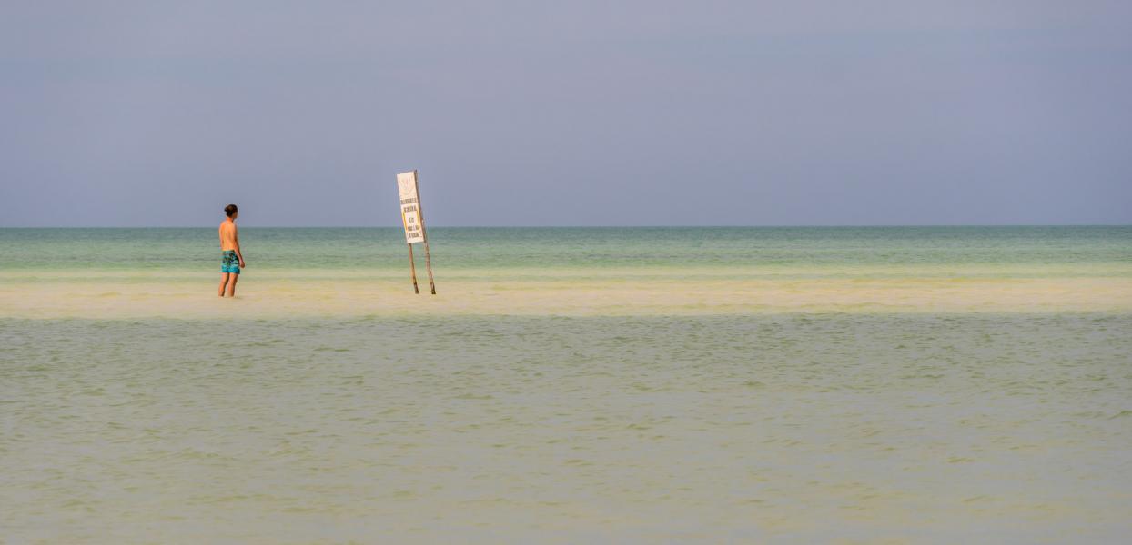 Holbox